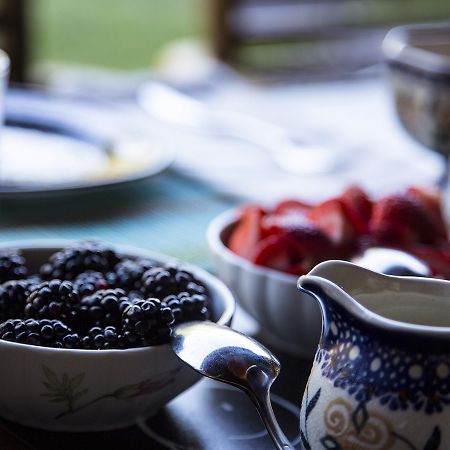 East Hampton Art House Bed And Breakfast Exteriér fotografie