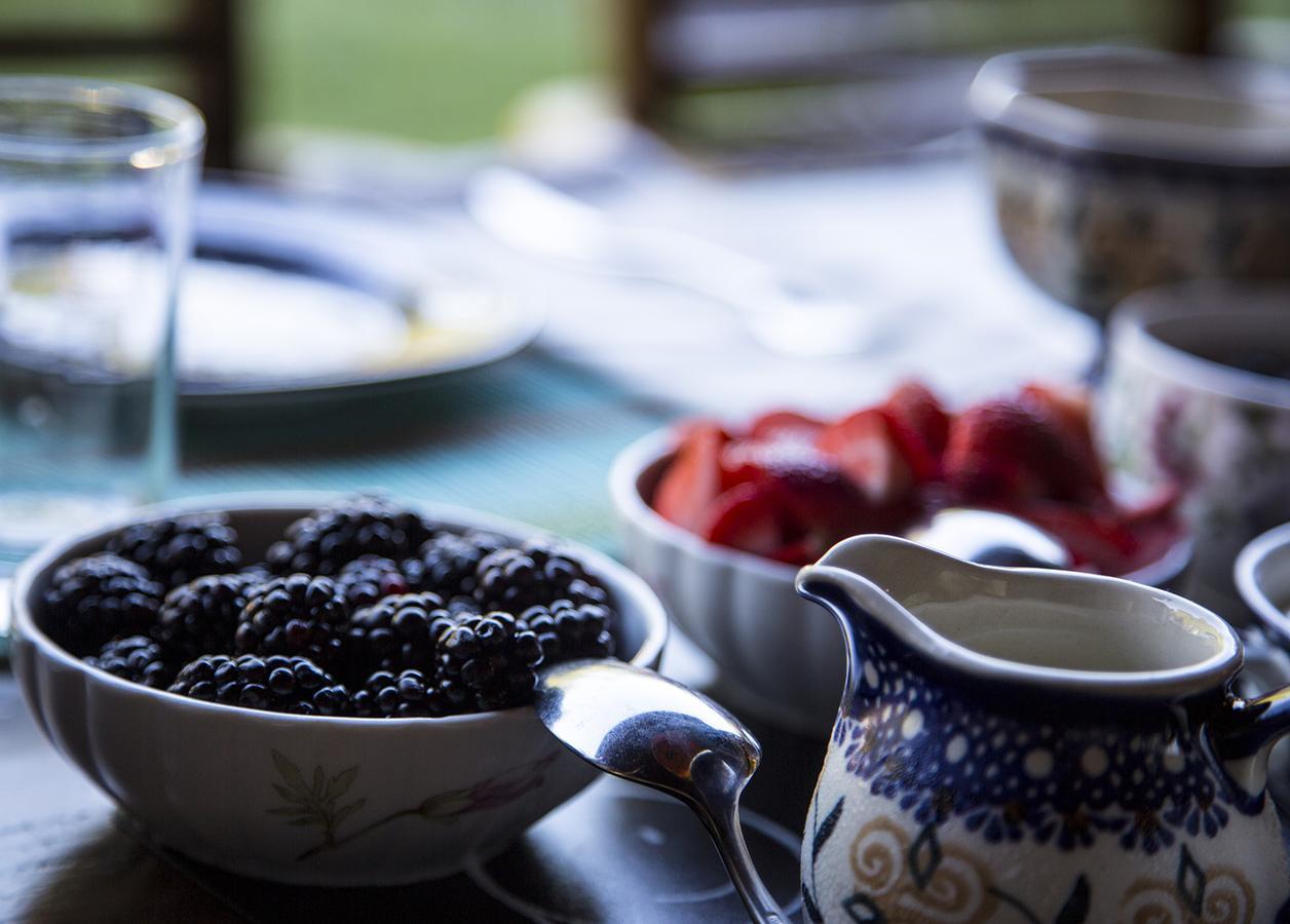 East Hampton Art House Bed And Breakfast Exteriér fotografie